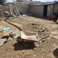 حشم  حیوانی