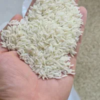 نزار برنج خارجی رو به اسم برنج ایرانی بدن بهت