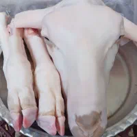 کله پاچه