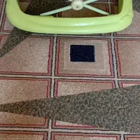 روروئک