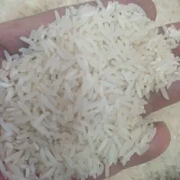 سرلاشه هاشمی فوق عطری گیلان