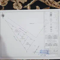 دو-قطعه-زمین-رست