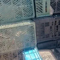 ضایعات سبد