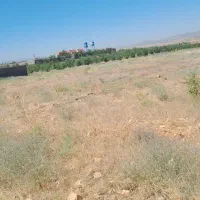 فروش زمین باغی ابپرده