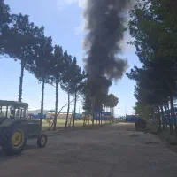 استخدام کارگر کشا ورزی مسلط به ابیاری بارانی