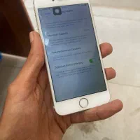 ایفون 6s طلایی