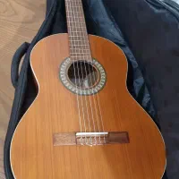 گیتار پارسی نو با کیف
