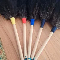 داستر،گردگیر پرشترمرغ
