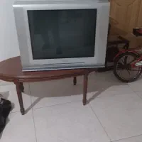 تلوزیون