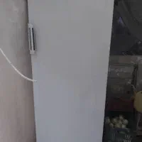 فریزر آزمایش تک