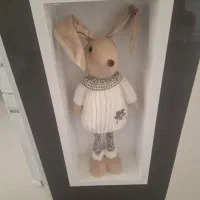 خرگوش نوع نوع