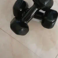 دمبل. در حد نو