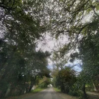 سفر بین شهری در اختیار