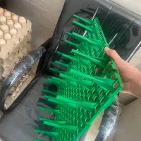 اسلت کف مرغداری جوجه کشی