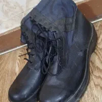 پوتین در حد نو