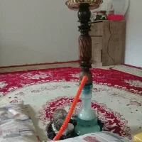 همخونه یا شریکی