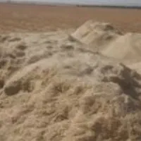 فروش کاه جو