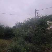 استخدام نیروی کار املاک
