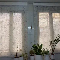 پرده زبرا درحدنو و سالم