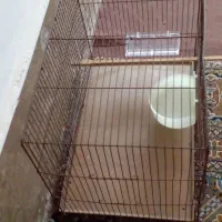 یک قفس کهنه با وسایل تازه