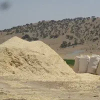 فروش کاه دیم گندم
