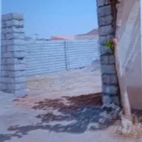 فورش-چهار-دیواری-گل-مینا-تاج-اصفهانی-پژوهش