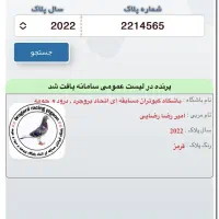 کبوتر