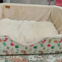 جای خواب سگ و گربه