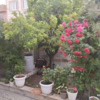 فروش زمین زراعی صنعتی