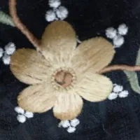 نیازمند شاگردکاشیکار