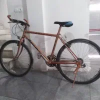دو عدد دوچرخه