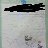 زمین  در شاندیز کلاته درخت سنجد