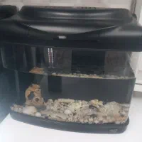 اکواریم شرکتی