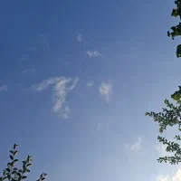 سیم کارت