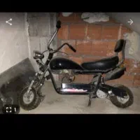 کلکسیونی برای ویترین مغازه