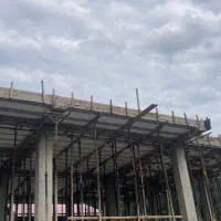 چوب نراد قالب بندی