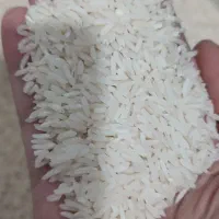 برنج هاشمی
