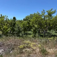 ۲۱۰متر زمین مناسب ساخت و سرمایه گزاری جابان