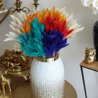 گل خشک طبیعی با تنوع زیاد