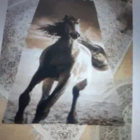 پرده زبرا نماد سال