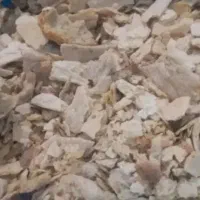 نان خشک دامی
