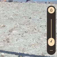 مینا سیاه نر