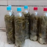 فروش خیارشور خانگی ترد و خوش‌طعم