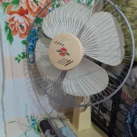 پنکه