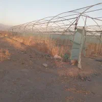5000 متر گلخونه طرح یزدی  با ۹۰۰۰ متر زمین خالی