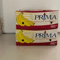 کارتن اسباب کشی
