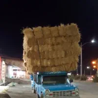 فروش پرس گندم