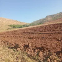 اجاره-هفت-هکتار-زمین-سخم-زده-سال-اولی