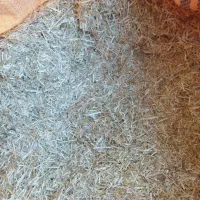 کاه خورد شده