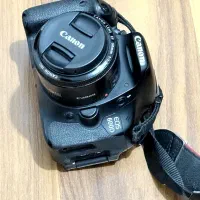canon D600|دوربین عکاسی و فیلمبرداری|ساری, |دیوار